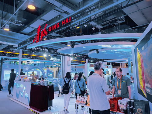 綠色,來自三江源的一抹 亮色 2024年服貿(mào)會(huì)一線見聞之三