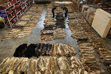 網(wǎng)易財(cái)經(jīng)一周圖片精選 8.04 8.10